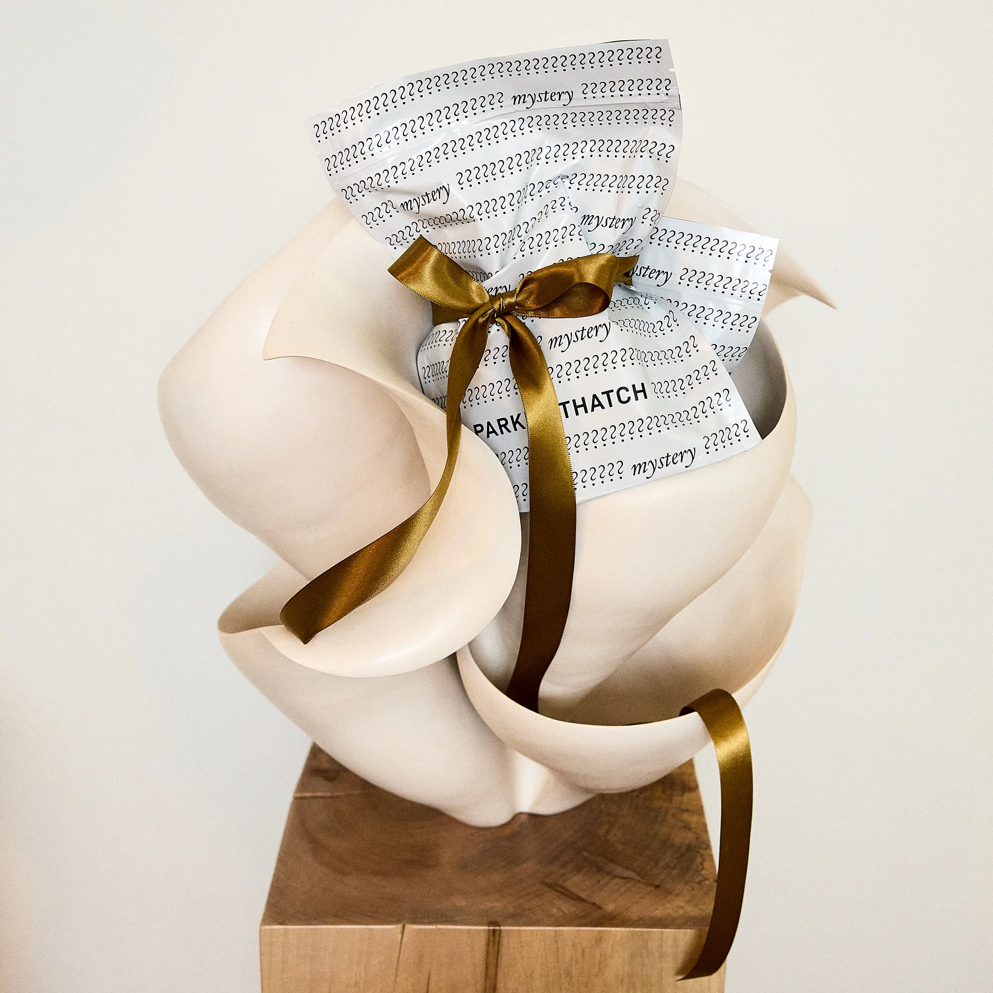 Baby Buddy - Mystery Item - Image 2