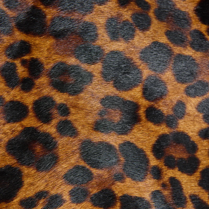 Big Buddy - New Leopard - Image 7