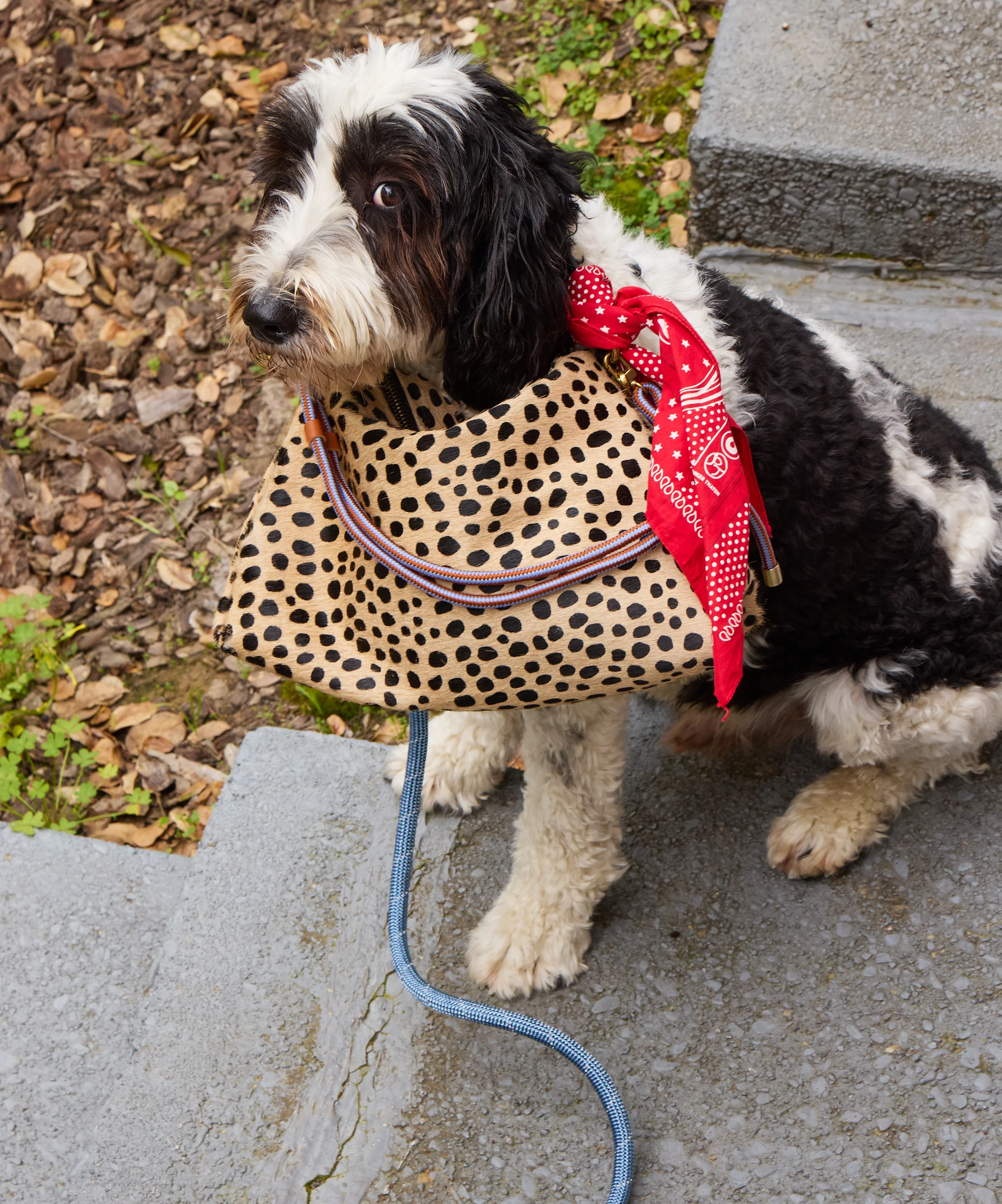 Daily Bag - Leopard - Image 13