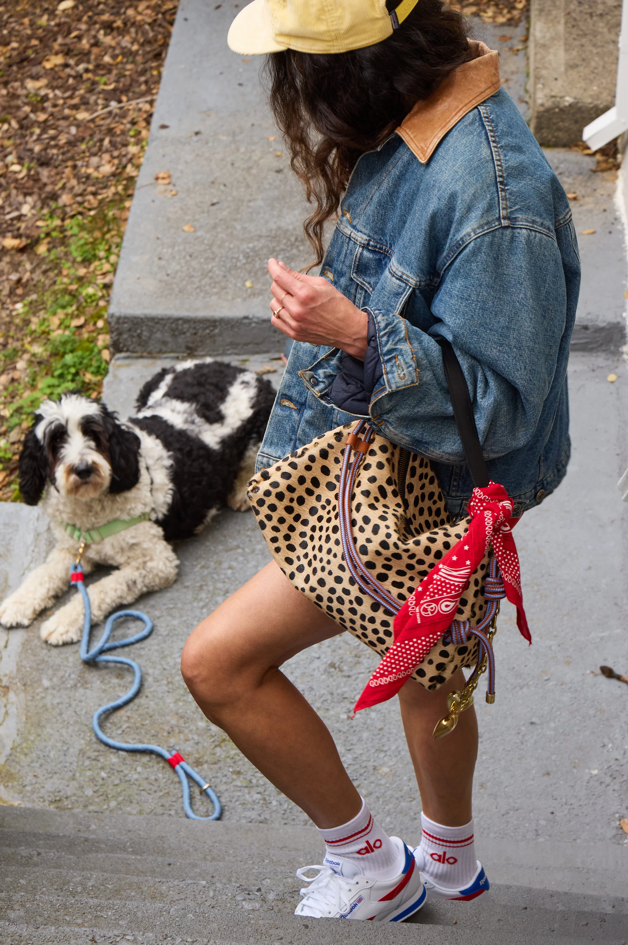 Daily Bag - Leopard - Image 6