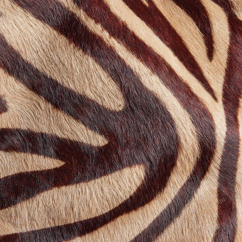 Jack - Zebra - Image 7