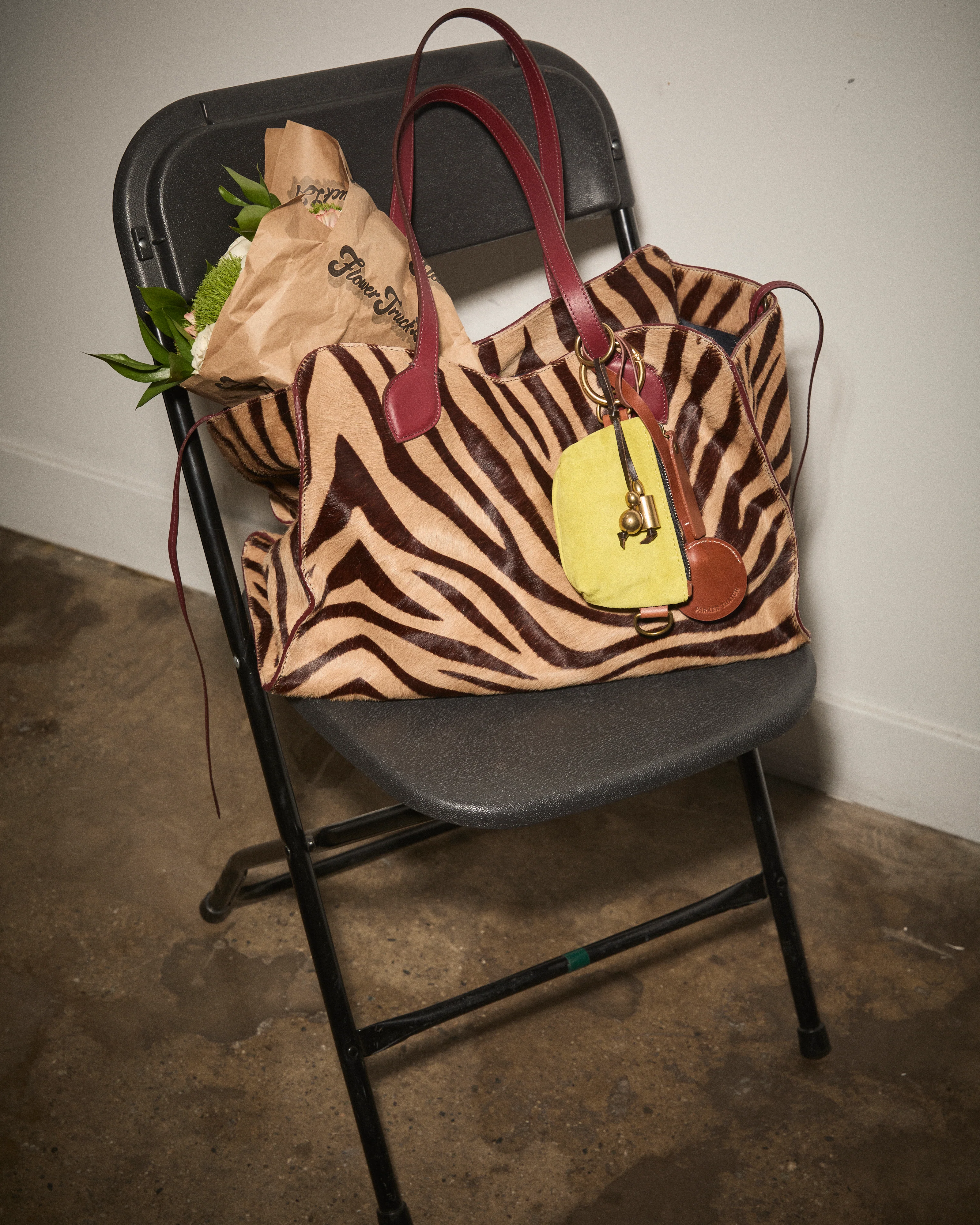 Jack - Zebra - Image 9
