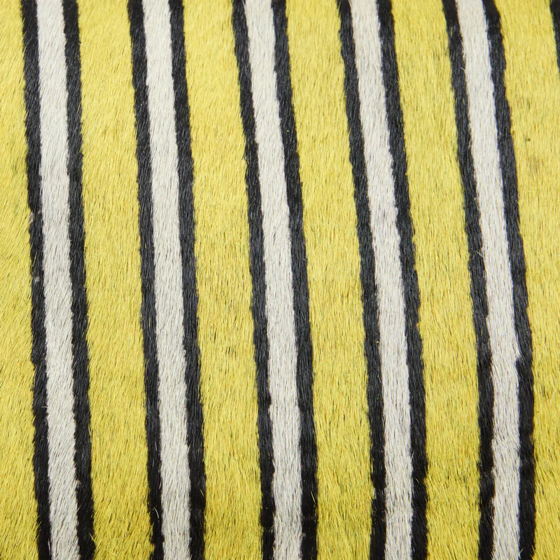 Little Buddy - Sunwashed Striped Hair - Image 4