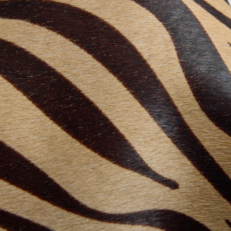Maurice Hobo - Zebra - Image 10