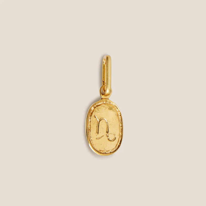 Zodiac Charm