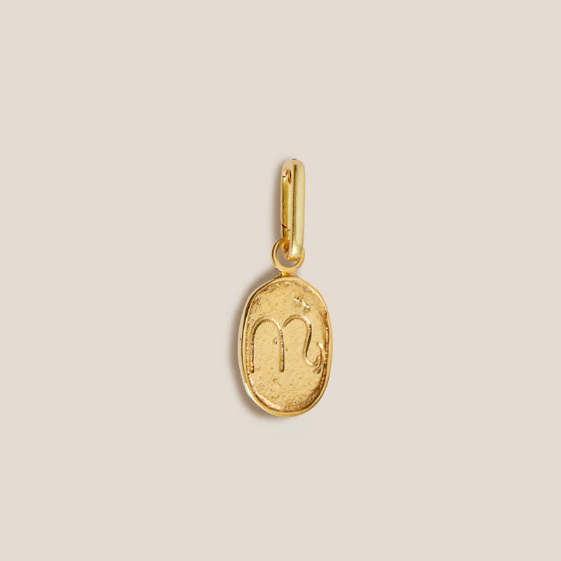 Zodiac Charm - Image 11