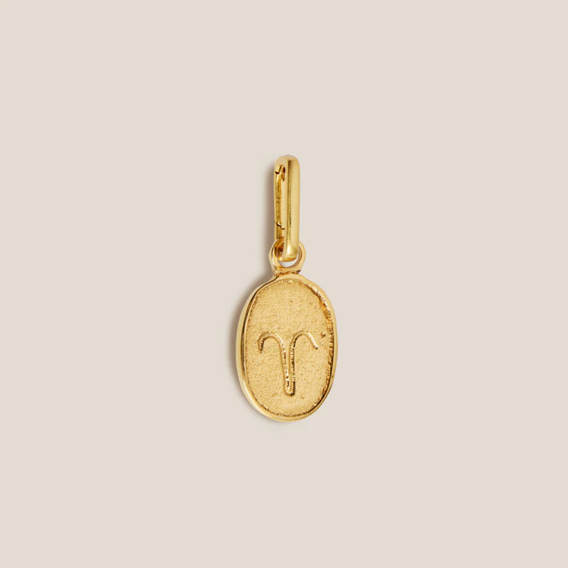 Zodiac Charm - Image 17